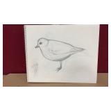 Famed Decoy Artist Brick Paulsonï¿½s  signed sketch