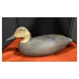 #172 BLACK DUCK , NEW JERSEY GUYETTE SCHMIDT
