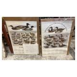 Decoy calendars 1975 & 1978-approx 30 x 20 in.