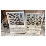 Decoy calendars 1971 & 1972-approx 30 x 20 in.