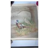 21' x 17.5'. 1975 Neal Anderson  outdoor picture.