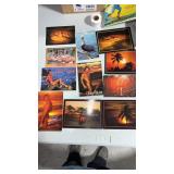 11 unused post cards