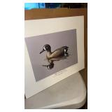 1982 blue winged teal duck print signed Neal