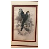 2 Framed & Matted Jardine