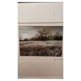 Framed & Matted White Meadow by John E Gentry