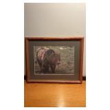 Framed and matted print of a bear in the wild