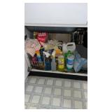 Cupboard of miscellaneous cleaning supplies
