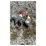 2 Metal roosters yard Art