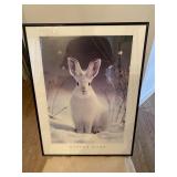 Photograph "Winter Hare" by Alan & Sandy Carey