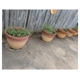5 LARGE PLASTIC PLANTERS