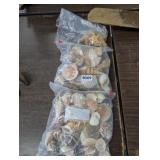 (3) GALLON BAGS OF SEASHELLS