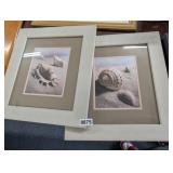 2 SEASHELL WALL ART