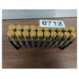 (20) 308 WIN AMMO