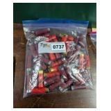(46) 12 GA AMMO