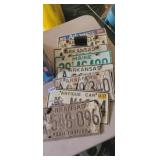 (8) LICENSE PLATES