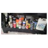 CHEMICALS UNDER TOOLBOX