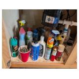 CHEMICALS UNDER KITCHEN SINK