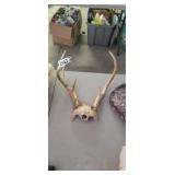 ANTLERS