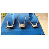 3 SETS OF ANTLERS