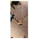 ANTLERS