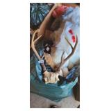 6 POINT ANTLERS