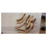 LOT OF ANTLERS