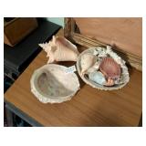 SEASHELLS