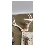 3 SETS OF DEER ANTLERS
