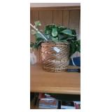 DECORATIVE PLANT