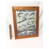 Print, Game Fishes of Pennsylvania by PA Fish Comm