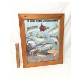 Print, Game Fishes of Pennsylvania by Tom Duran Jr