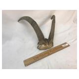 Animal Horns or Antlers, Antelope?
