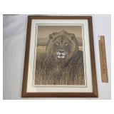 Print, Lion by Larry Jacobsen