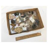 Lot of Fossils and Stones