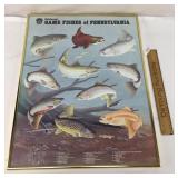 Poster, Game Fishes of Pennsylvania, Vintage