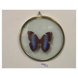 Butterfly Wall Art or Display
