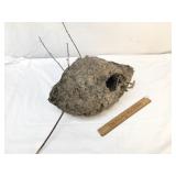 Bee or Wasp Nest