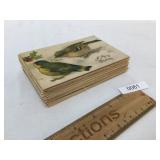 Lot of 50 Postcards, Vintage or Antique