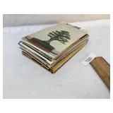 Lot of 100 Postcards, Vintage or Antique
