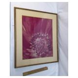 Photo or Photograph, Flower, Vintage