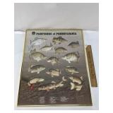 Poster, Game Fishes of Pennsylvania, Vintage