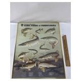 Poster, Game Fishes of Pennsylvania, Vintage