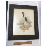 Limited Edition Print, Gosling