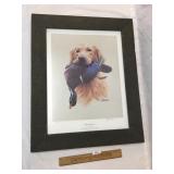 Limited Edition Print, Golden Retriever by James H