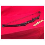 Compound Bow by Bear