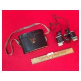 Binoculars in Leather Case, Vintage