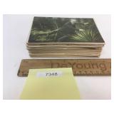 Lot of 100 Postcards, Vintage or Antique