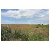 Land Auction
