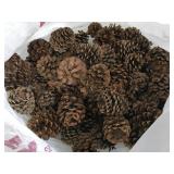 Large collection of decorative pine cones