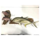 Three Taxidermy fish mounted on wood